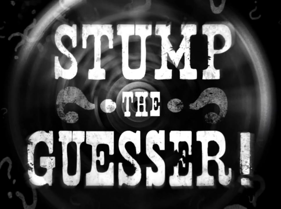 Stump the Guesser screenshot 2