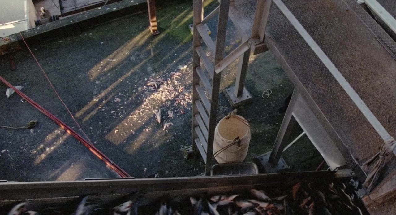 Stakeout screenshot 1