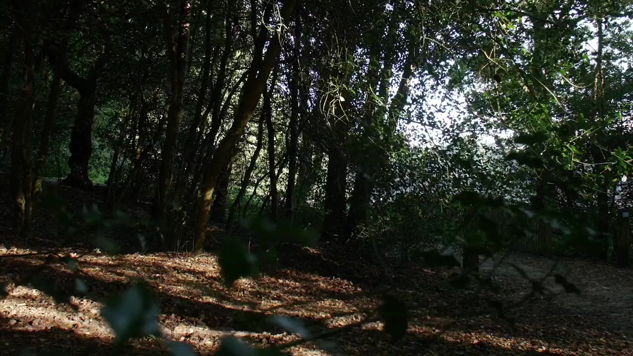 Stalked screenshot 1
