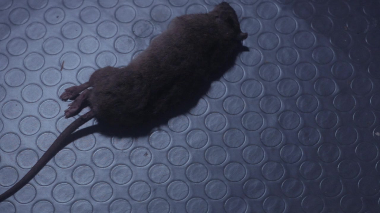 Stalled screenshot 1