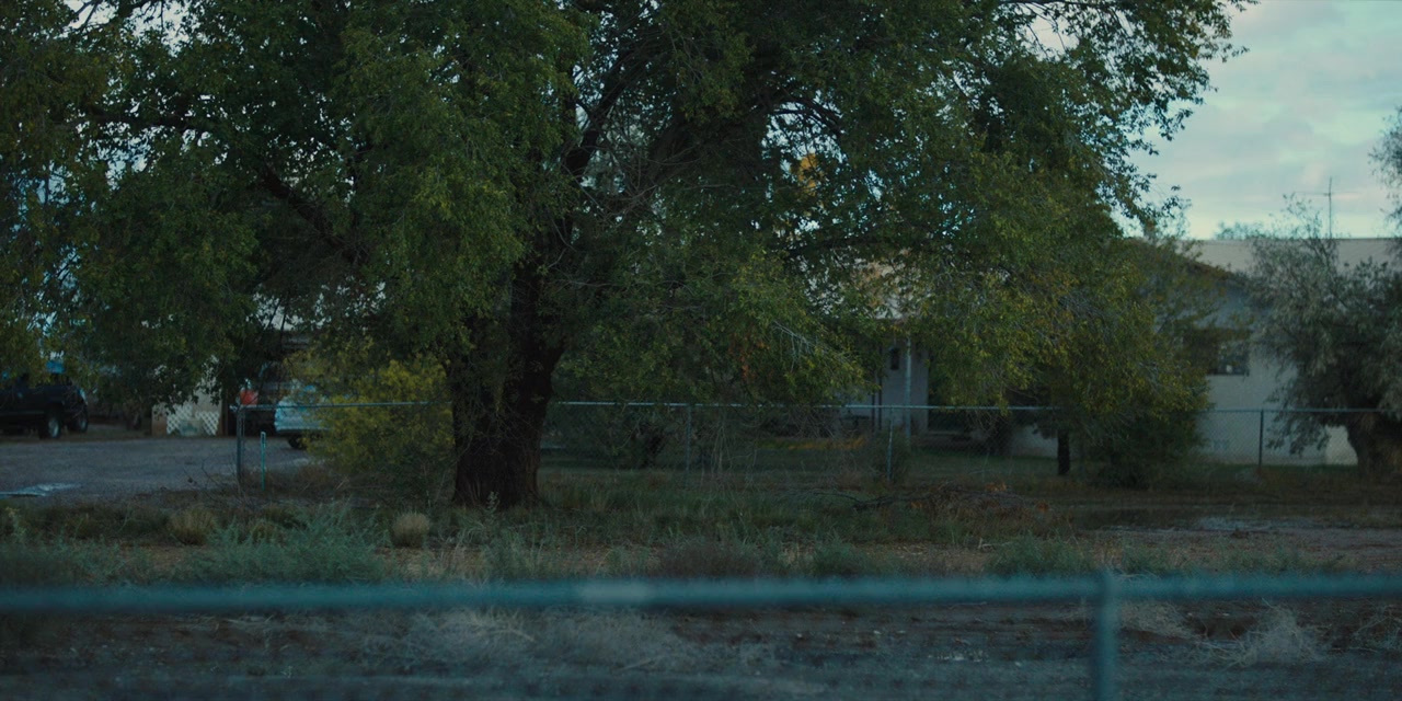 Stargirl screenshot 1