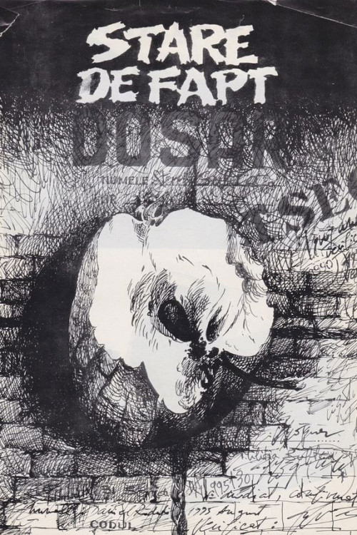 Stare de fapt (1995) poster