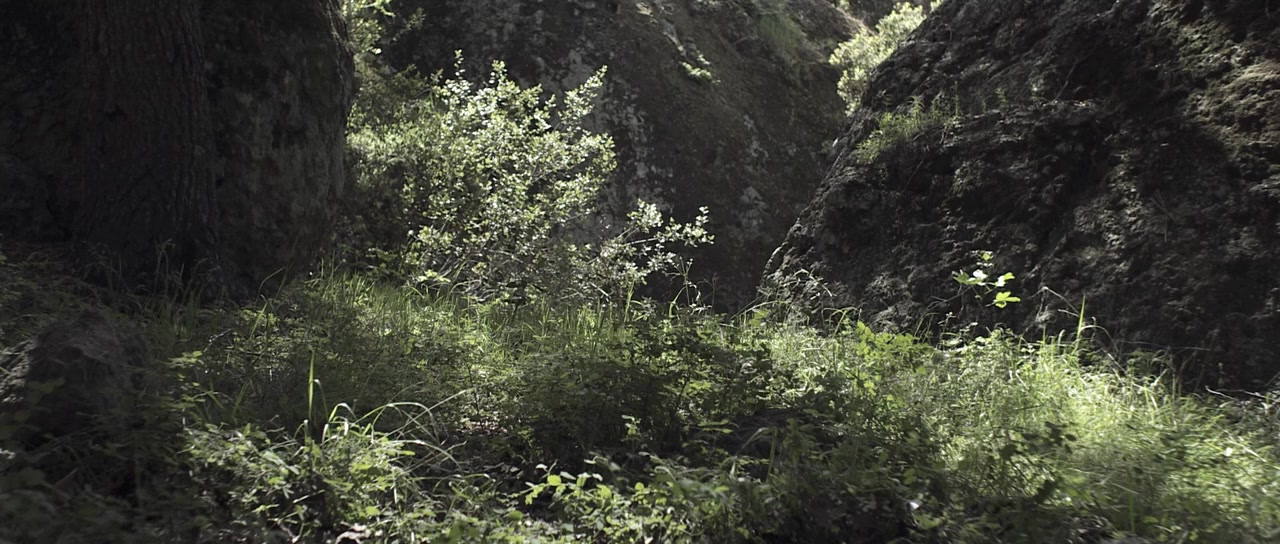 Static screenshot 1
