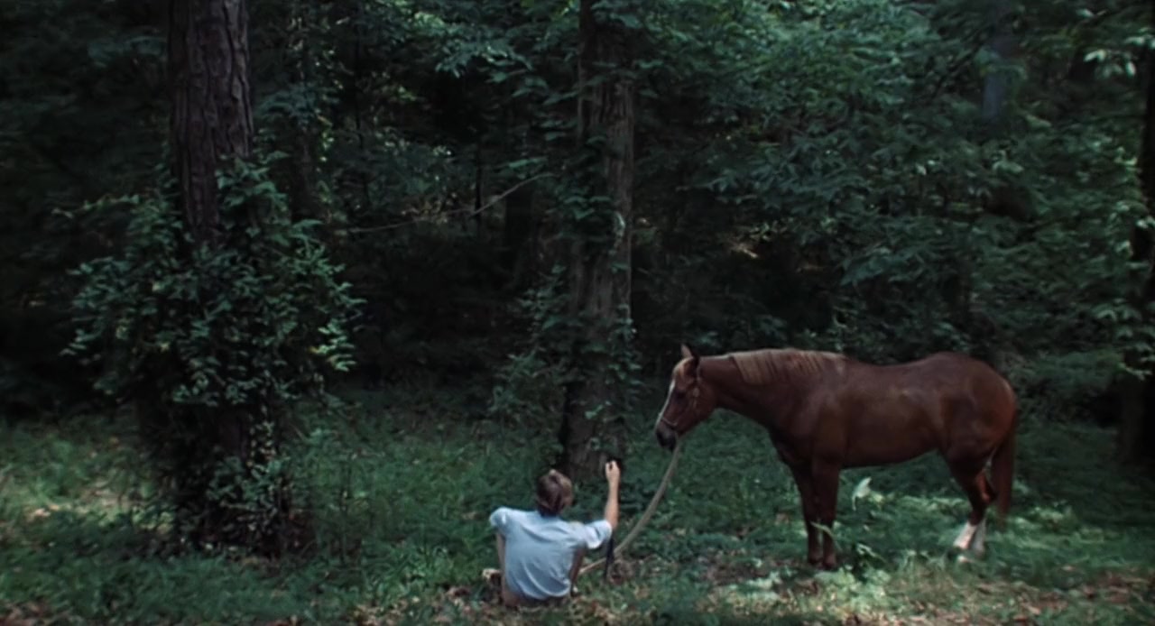 Stay Hungry screenshot 3