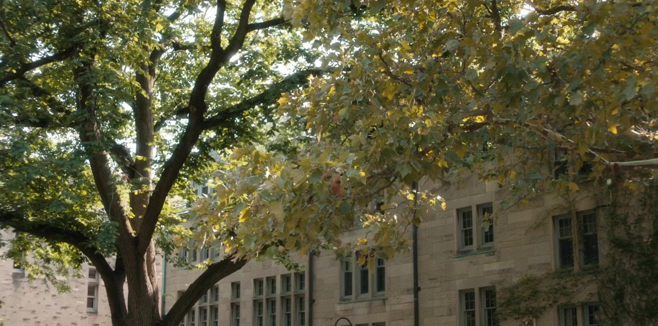 Stealing School screenshot 1