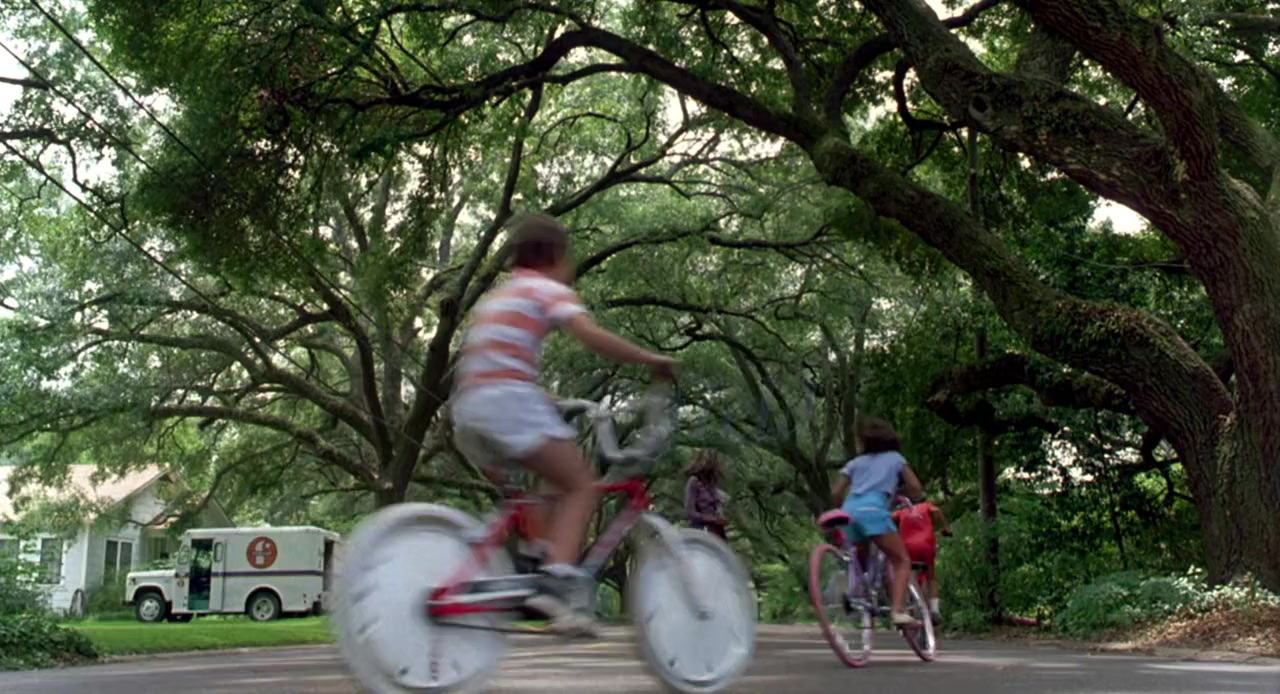 Steel Magnolias screenshot 1