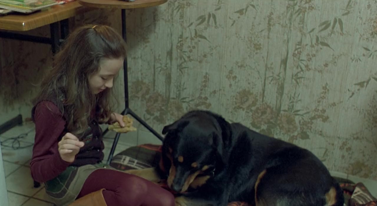 Stella screenshot 2