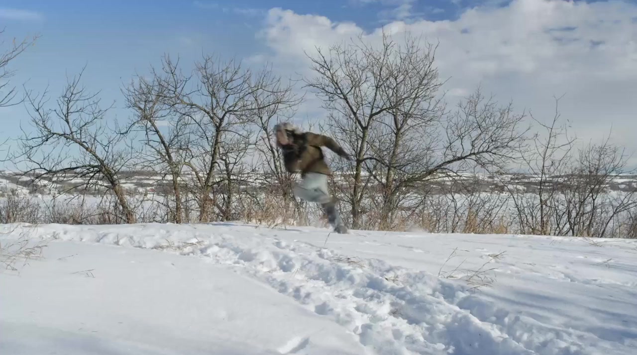 Step Dogs screenshot 1