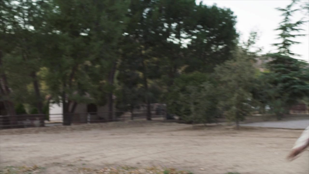 Stereoscope screenshot 1