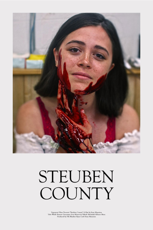 Steuben County (2020) poster