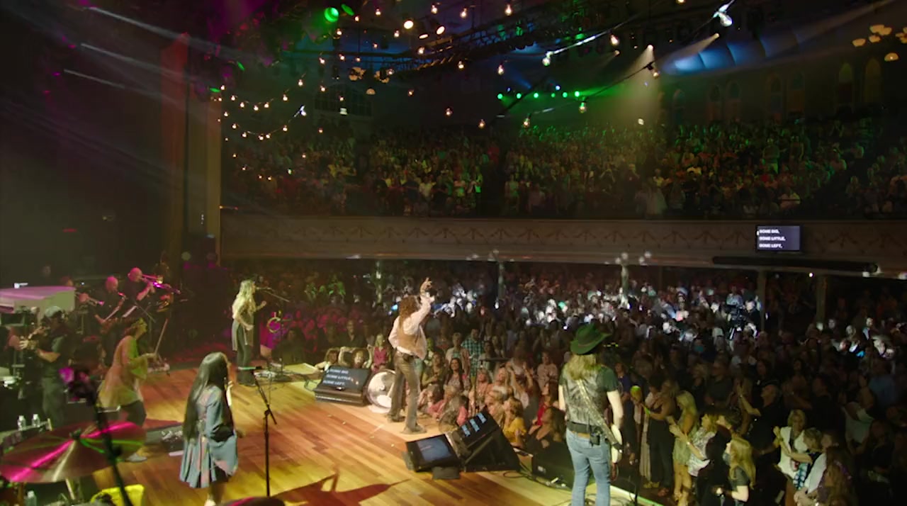 Steven Tyler: Out on a Limb screenshot 3