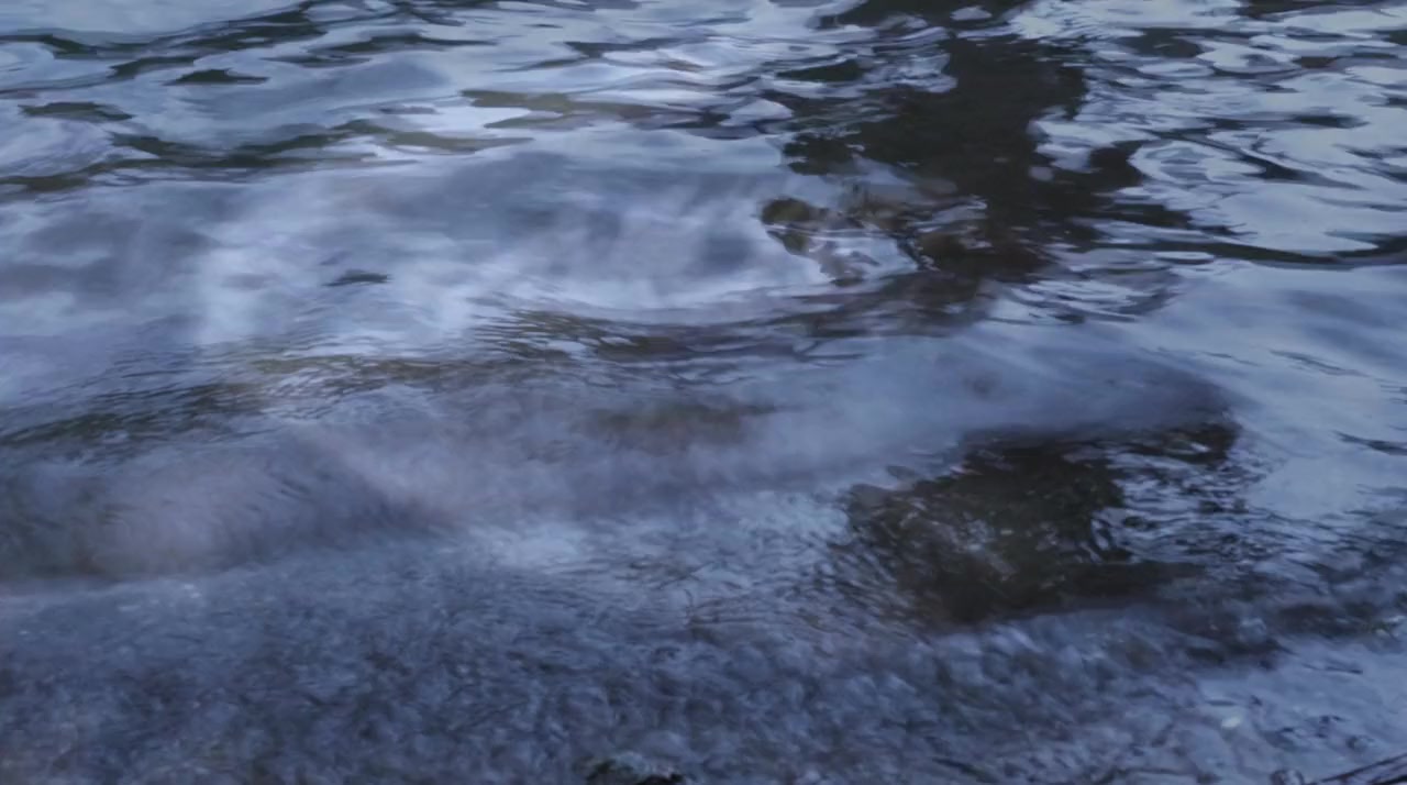 Still Life of Memories screenshot 3