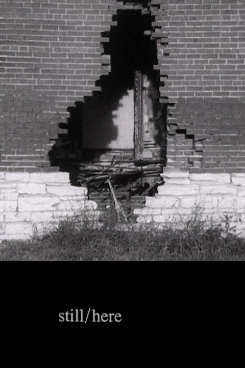 Still/Here (2001) poster