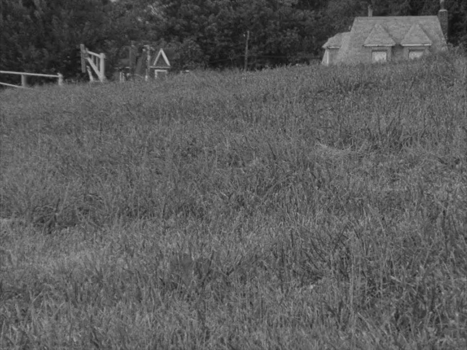 Still/Here screenshot 2
