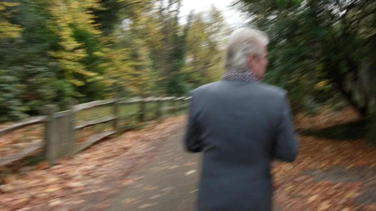 Stiv screenshot 3