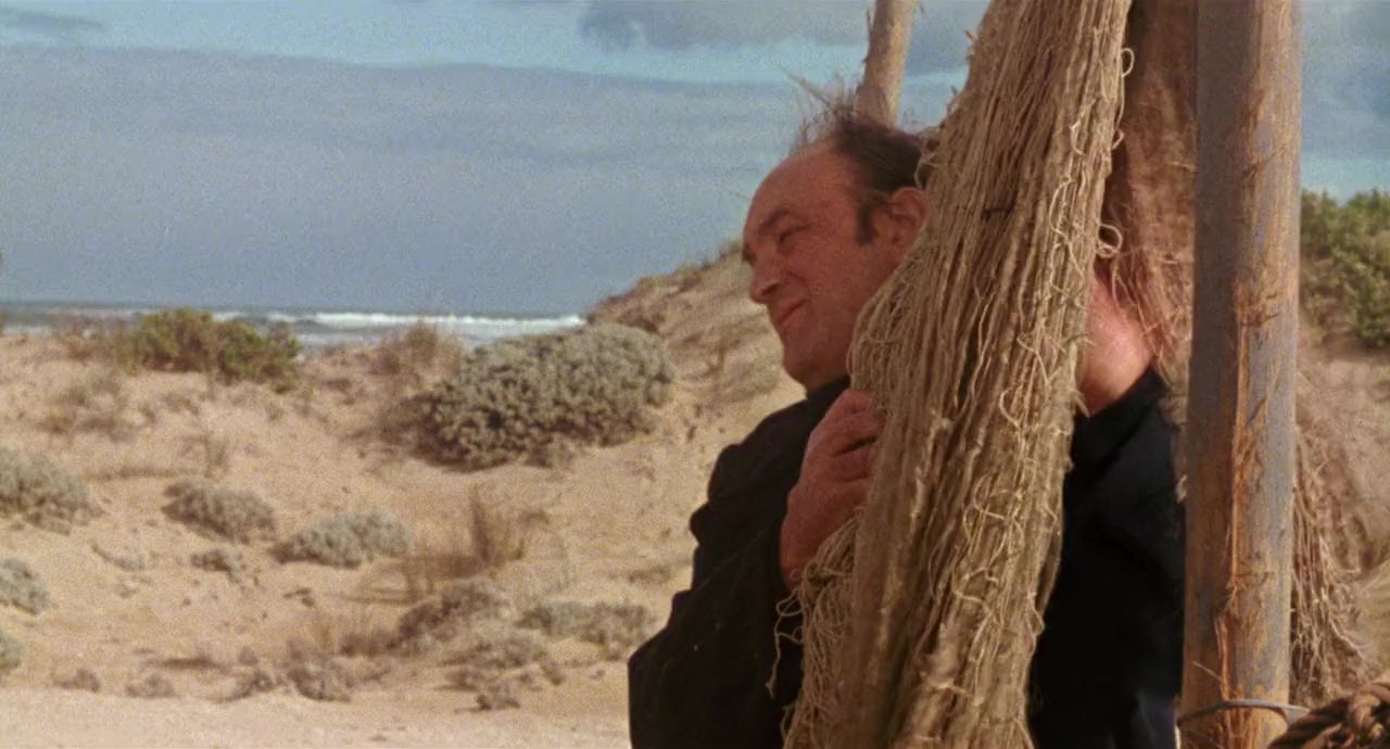 Storm Boy screenshot 1
