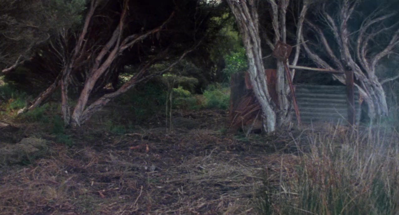 Storm Boy screenshot 2