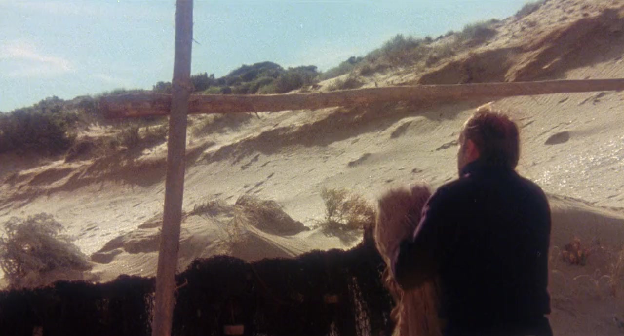 Storm Boy screenshot 3