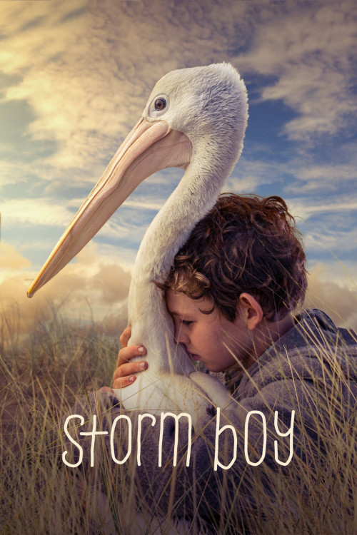 Storm Boy (2019) poster