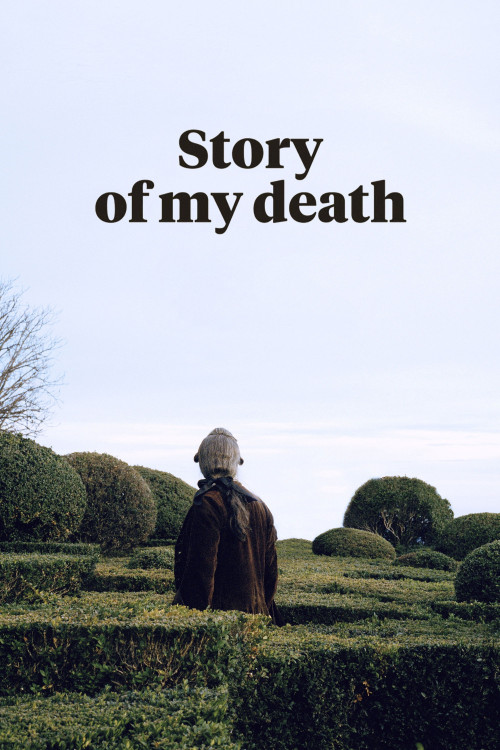 Història de la meva mort (2013) poster