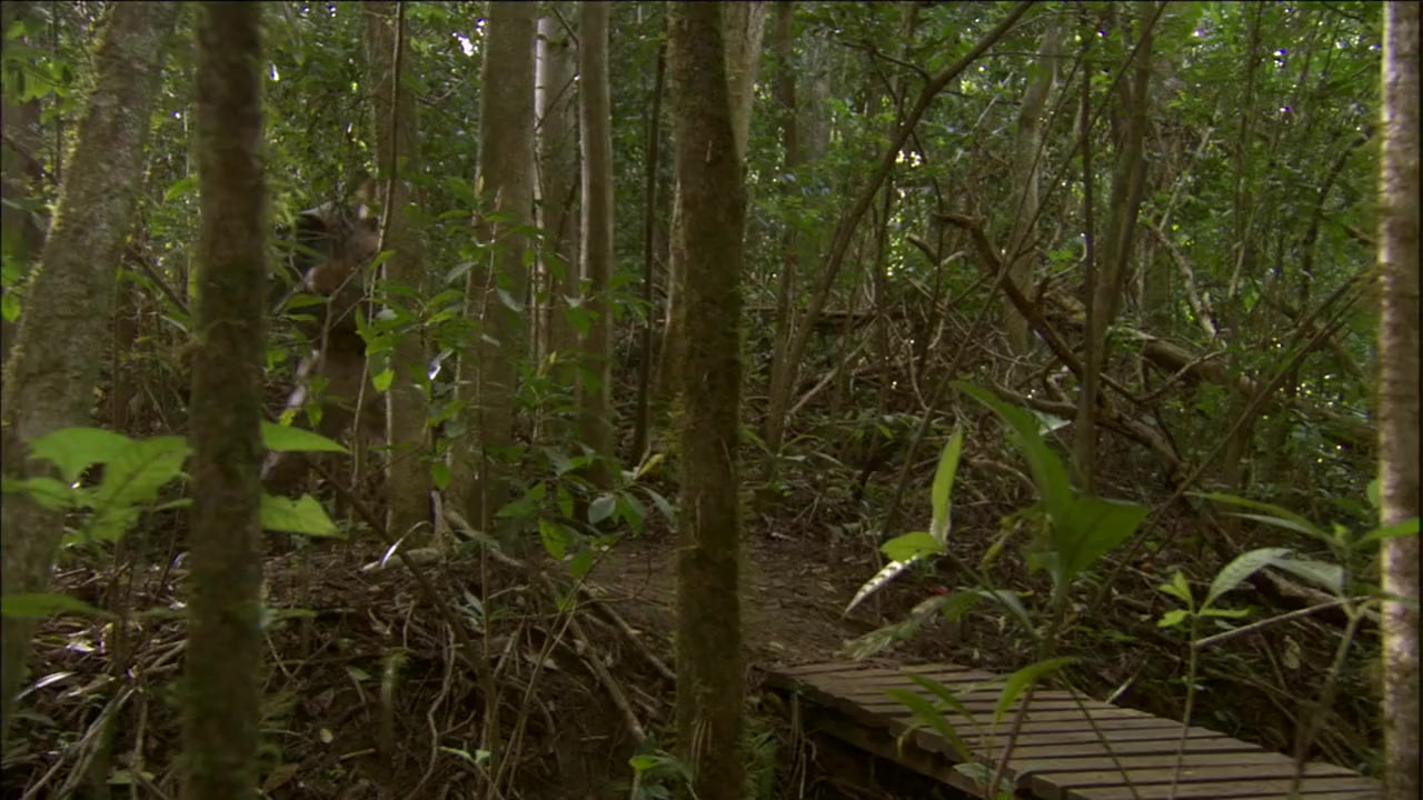 Stranded screenshot 1