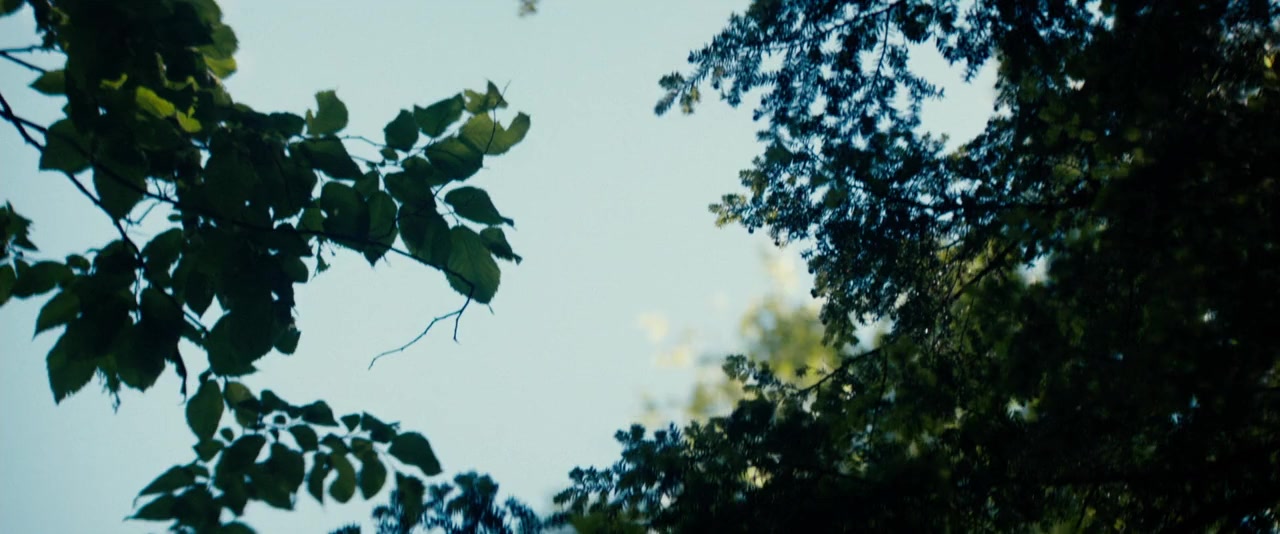 Strange But True screenshot 2