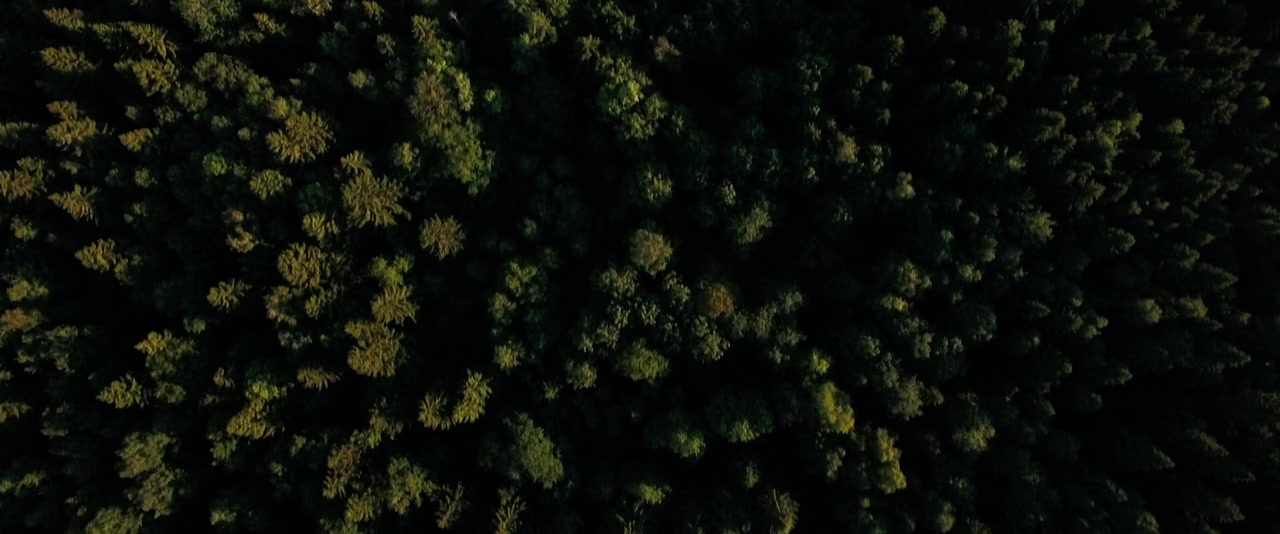Strange But True screenshot 3