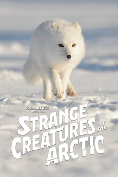 Strange Creatures of the Arctic (2022) poster