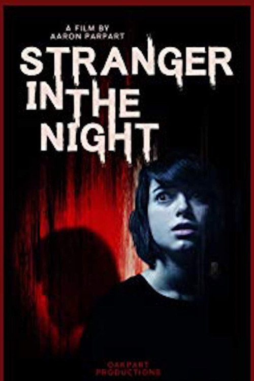 Stranger in the Night (2019) poster