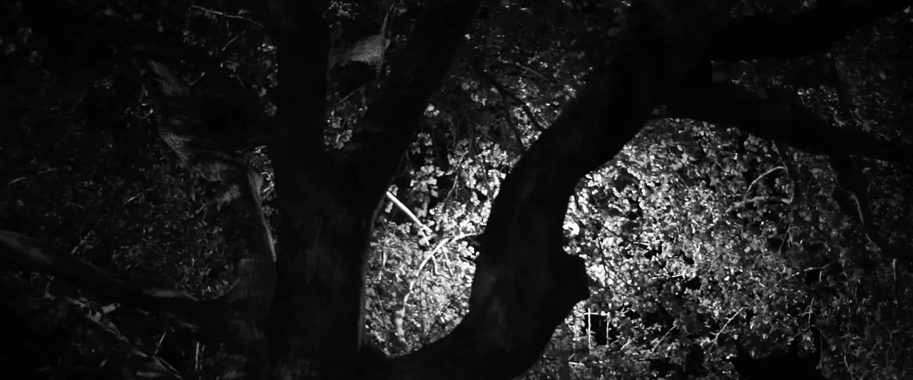 Stranger in the Night screenshot 1