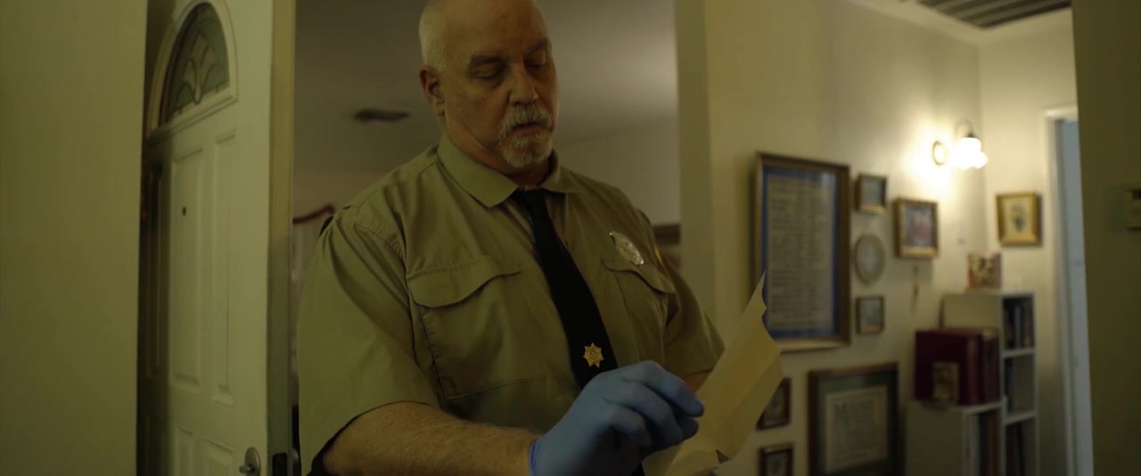 Stranger in the Night screenshot 3