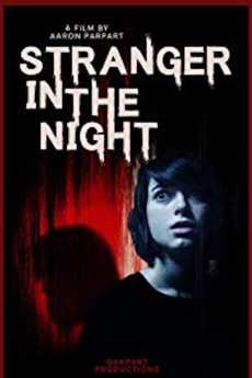 Stranger in the Night (2019) poster