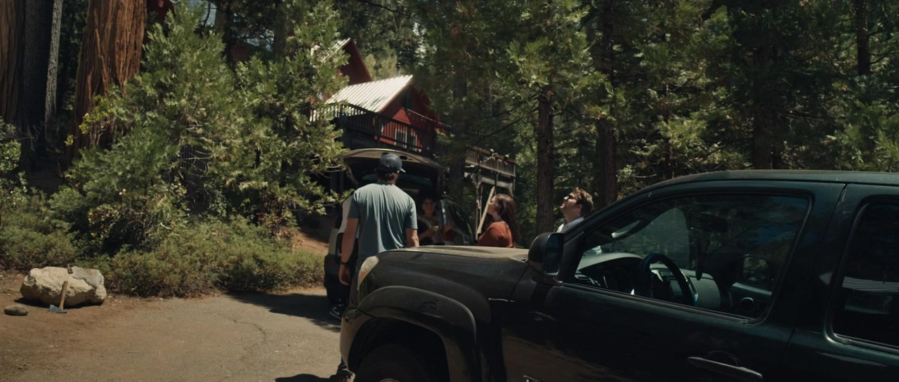 Stranger in the Woods screenshot 1