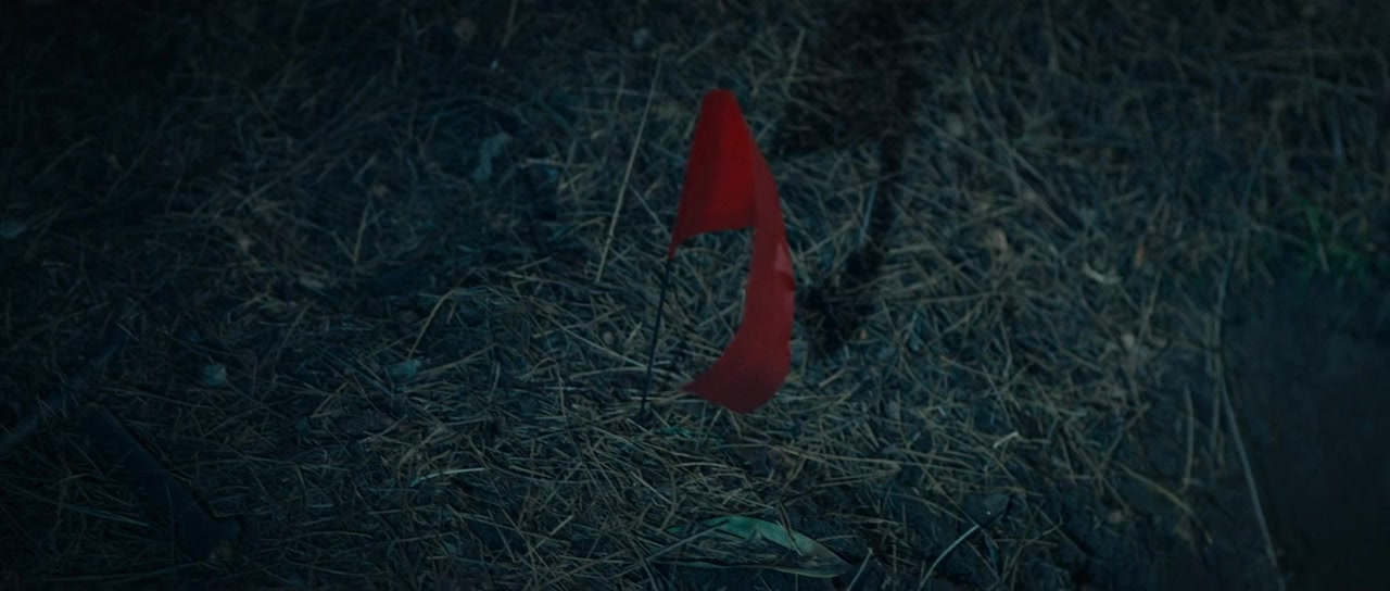 Stranger in the Woods screenshot 2