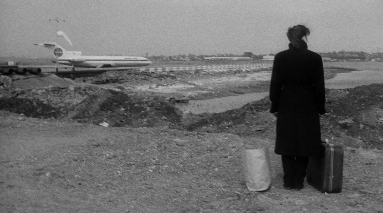 Stranger Than Paradise screenshot 2