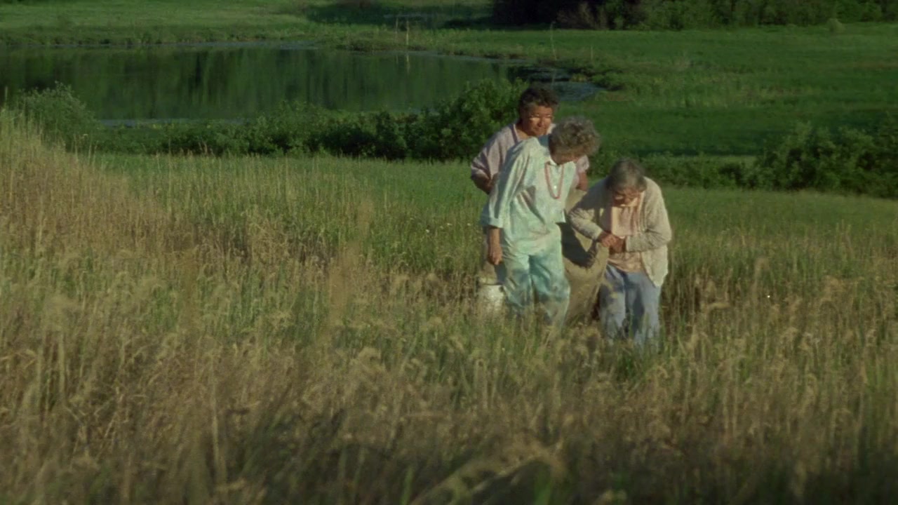 Strangers in Good Company screenshot 1