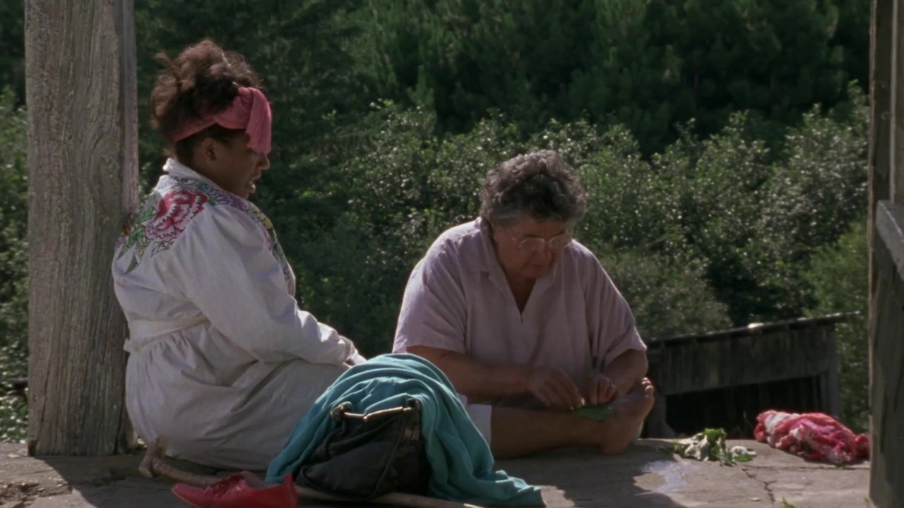 Strangers in Good Company screenshot 2