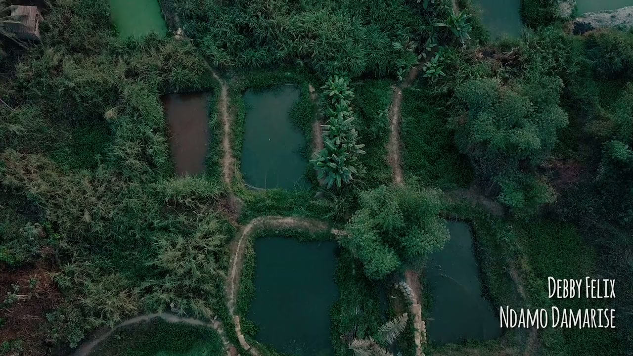 Strangers screenshot 1