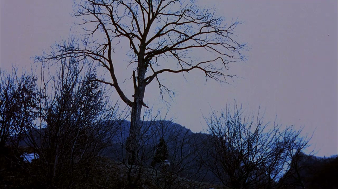 Straight Into Darkness screenshot 2