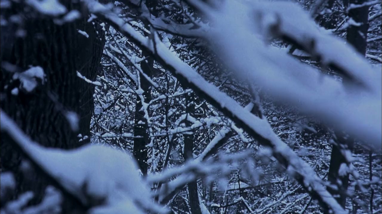 Straight Into Darkness screenshot 3