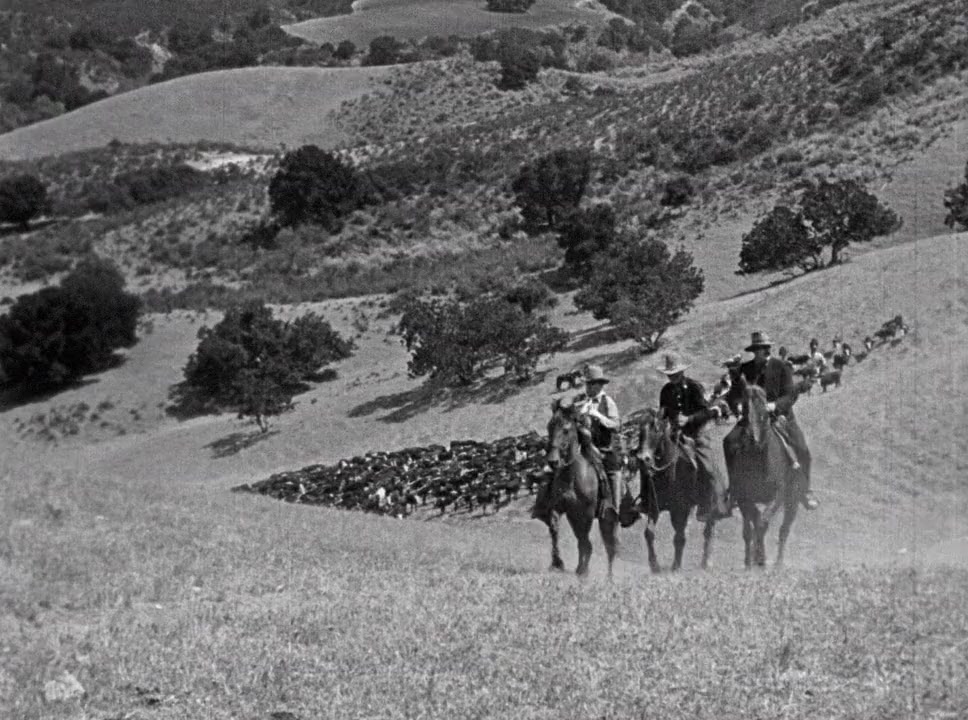 Straight Shooting screenshot 3