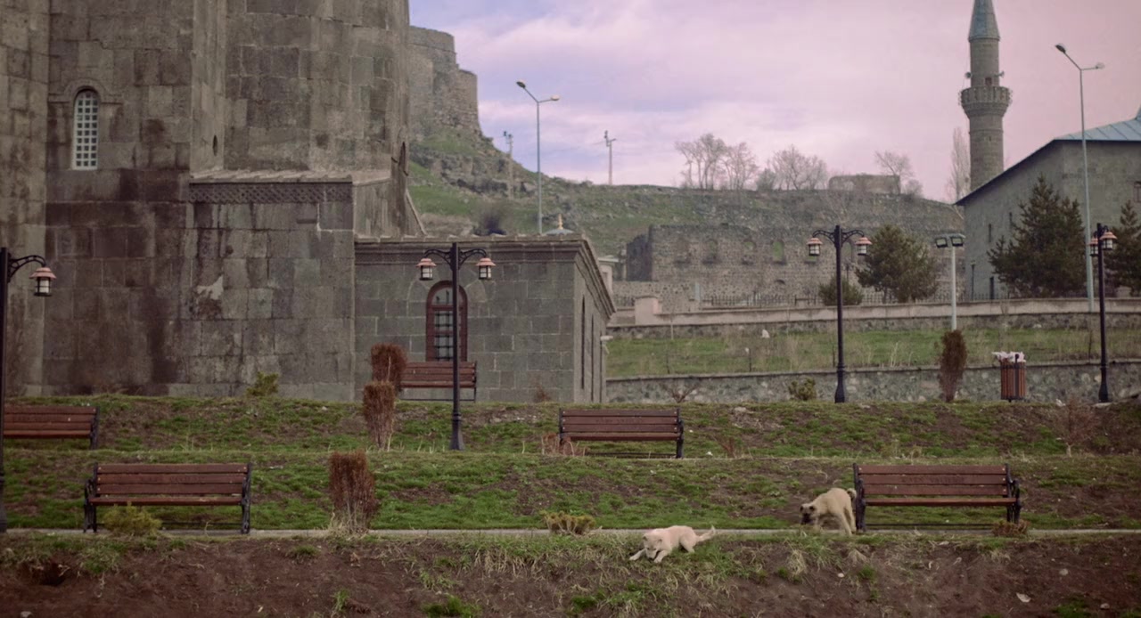 Stray screenshot 3