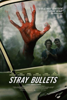 Stray Bullets (2016) poster
