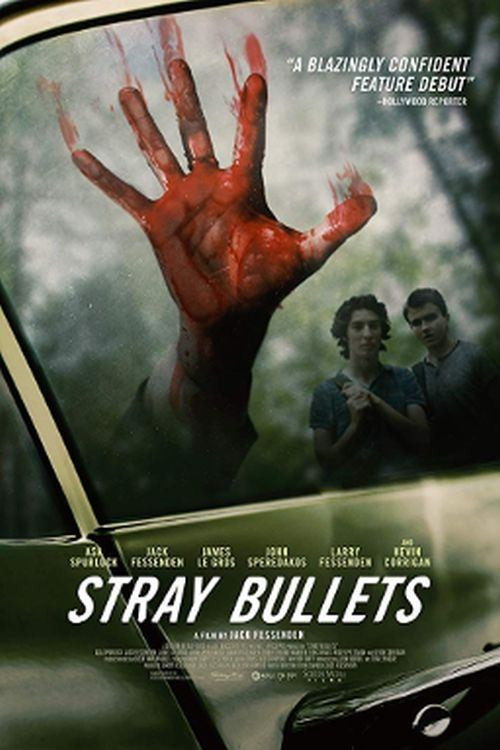 Stray Bullets (2016) poster