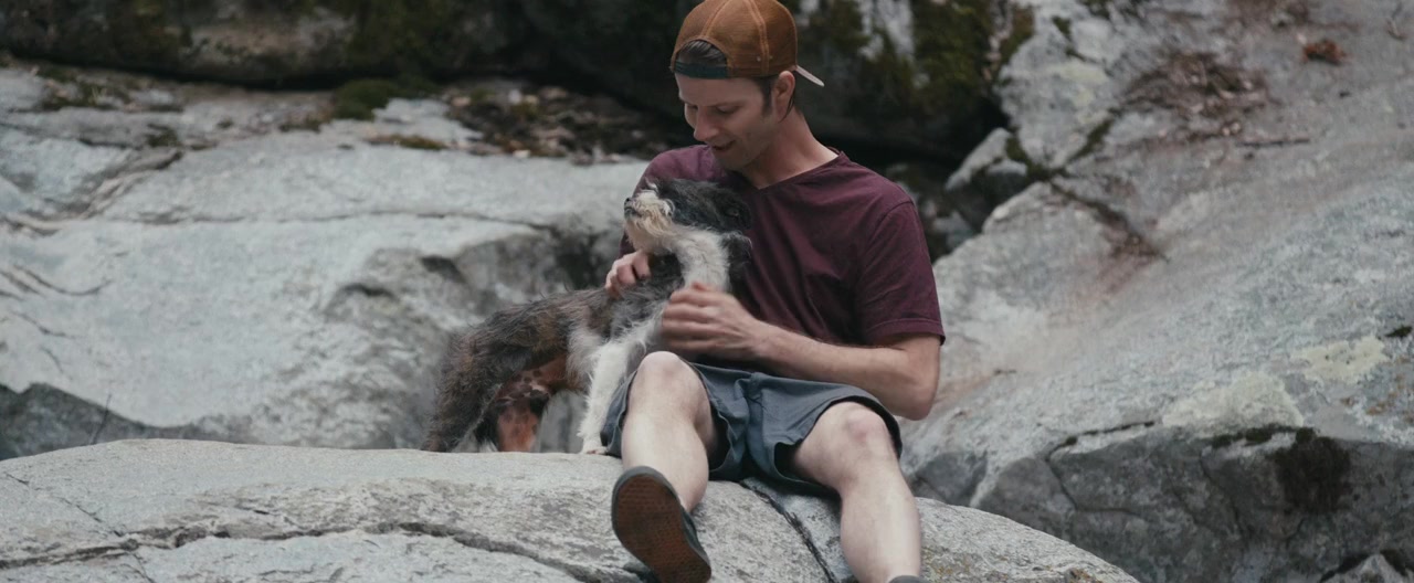 Stray Dogs screenshot 2