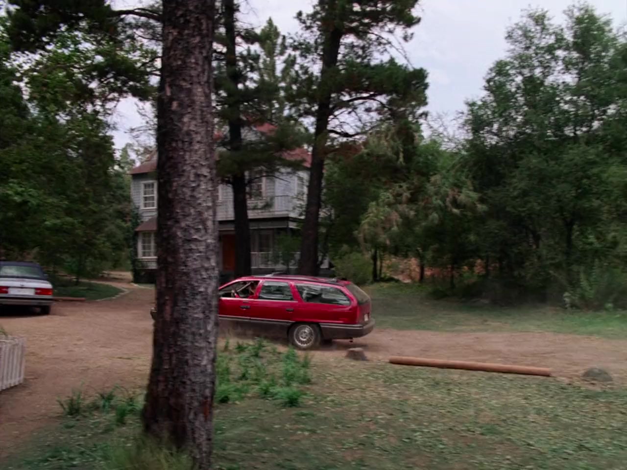 Strays screenshot 2