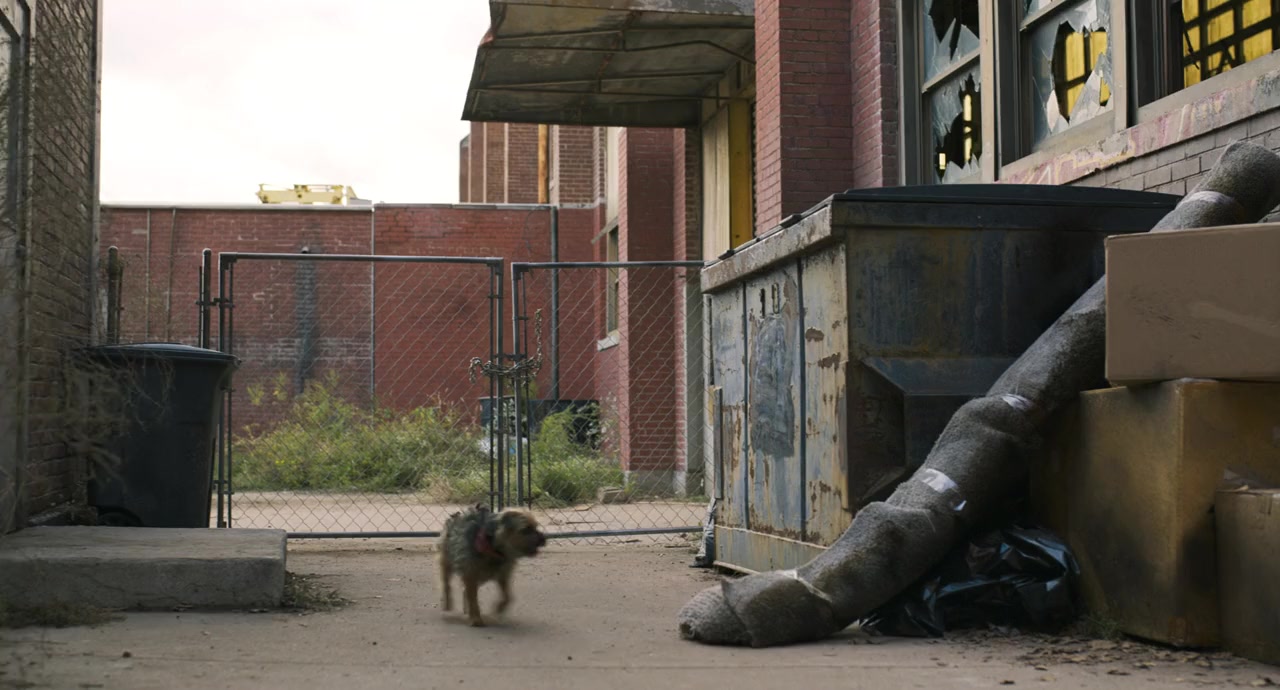 Strays screenshot 1