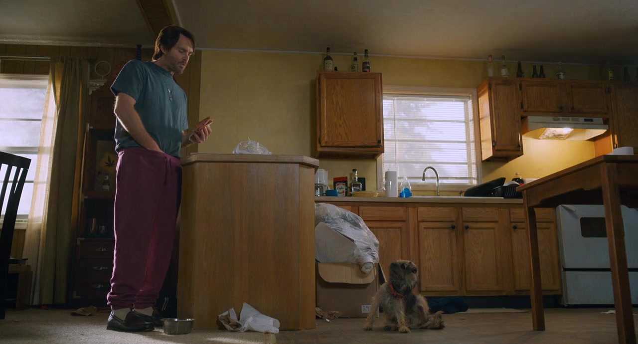 Strays screenshot 3
