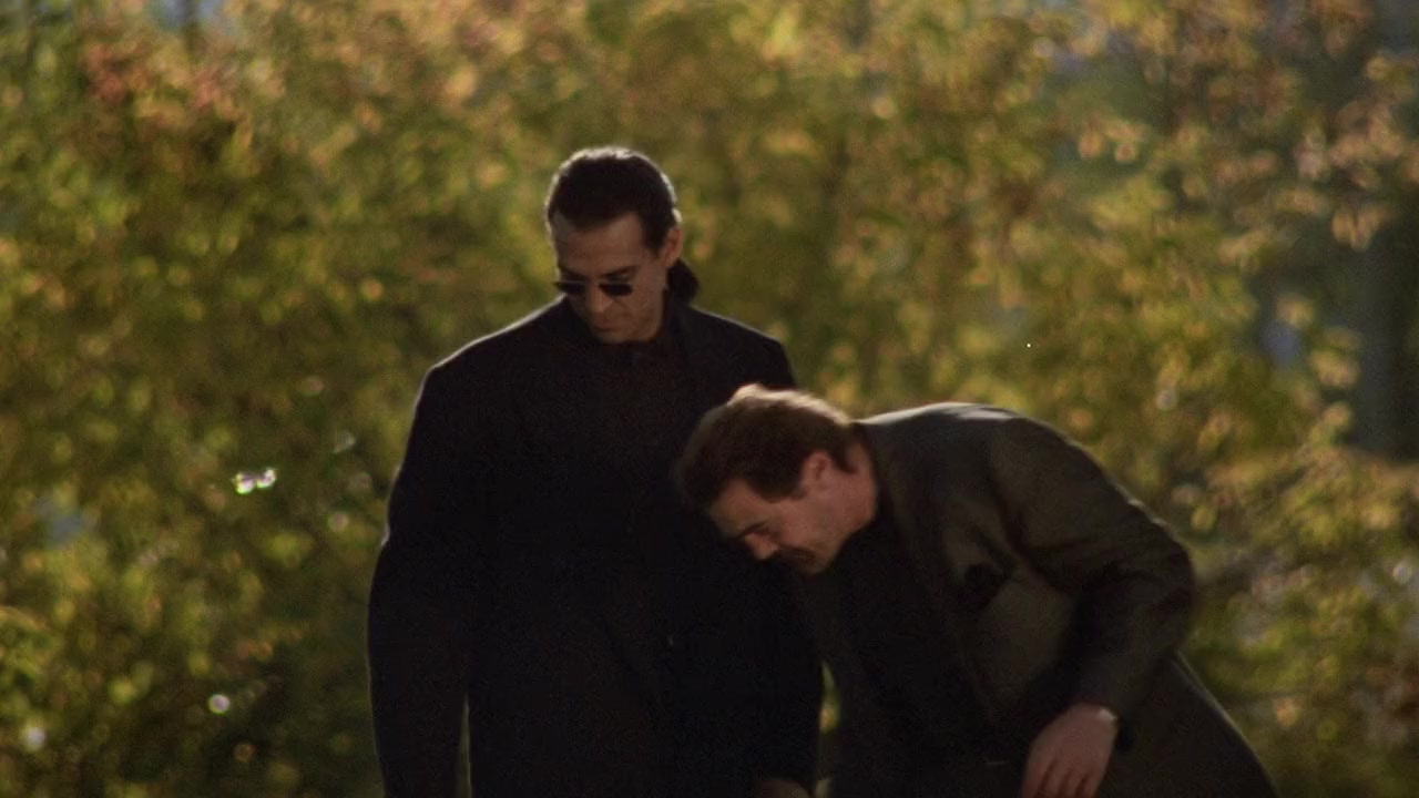 Street Law screenshot 3
