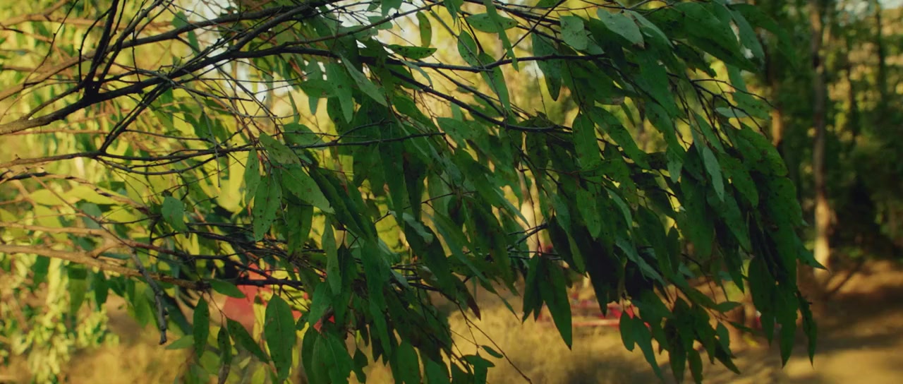 Stripped screenshot 1